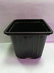Горшок д/рассады квадр. 09*09*08 v-0,43л 