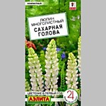 Люпин Сахарная голова 7 шт. (А)