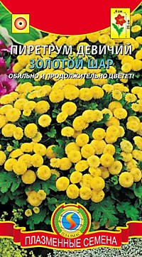 Пиретрум девичий Золотой шар (ПС)