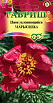 Пион уклоняющийся Марьюшка 3шт. (Г)