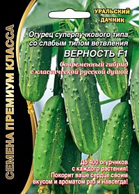 Огурец Верность F1 ® (УД) 5+2 шт. (гибрид+опылитель)