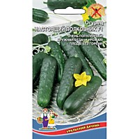 Огурец Настоящий полковник F1 (УД) 10 шт. сем.