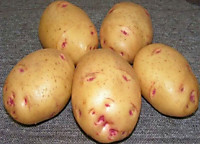 Картофель Аврора 1 кг (Элита)