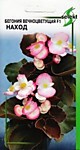 Бегония вечноцветущая F1 Наход (ДС)