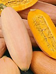 Тыква Розовый Банан (ДС)