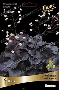 Гейхера Бинош (ОКС)