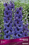 Дельфиниум Арлекин (ОКС)