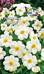 Георгина Линда 0,15 гр. (С)