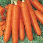 Морковь Супер мускат драже 250 шт (ДС)