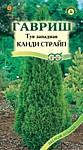Туя западная Канди Страйп 0,05 г. (Г)