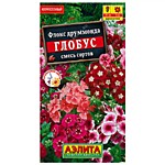 Флокс Глобус, смесь сортов 0,1 гр. (А)