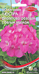 Пеларгония Люстра фиолетово-розовая с белым глазком 4 шт. (ДС)