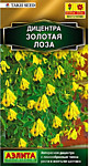 Дицентра Золотая лоза 5 шт. (А)