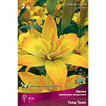 Лилия азиатская махровая Голд Твин 1 шт.
