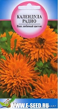 Календула Радио 25 шт. (ДС)