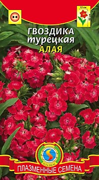 Гвоздика турецкая Алая (ПС)