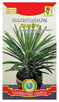 Пахиподиум Ламера 3шт. (ПС)
