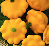 Патиссон НЛО оранжевый 12 шт. белый пак.(А)