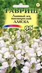 Львиный зев (Антирринум)