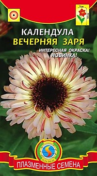 Календула Вечерняя заря (ПС)
