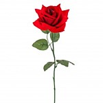 Роза бархатная без канта 50см
