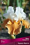 Ирис бородатый Эприкот фрости (ОКС)