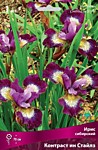 Ирис сибирский Контраст ин стайлз (ОКС)
