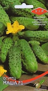Огурец Маша F1 6 шт. (ДС)