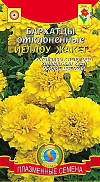 Бархатцы откл. Йеллоу Жакет (ПС)