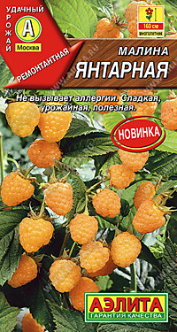 Малина Янтарная 20 шт. (А)