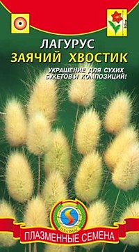 Лагурус Заячий хвостик (ПС)