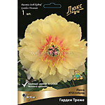 Пион ИТО-гибрид Гарден Треже (корень)