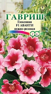 Глоксиния Аванти нежно-розовая F1 гранул. 5 шт. пробирка Саката серия Эксклюзив 
