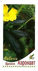 Кабачок Аэронавт 11шт (ДС)
