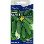 Огурец Адам F1 6шт. (ДС)