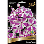 Флокс метельчатый Кэнди твист (ОКС)