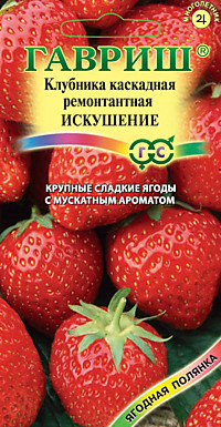 Клубника каскадная Искушение 10шт. (Г)