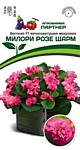 Бегония F1 вечноцвет. махр. Милори Розе Шарм 5шт. (П)