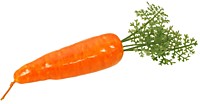 Муляж морковь