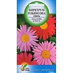 Пиретрум Робинсона 25 шт. (ДС)