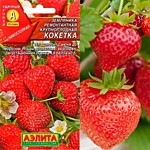 Земляника ремонтантная крупноплодная Кокетка 10 шт. (А)