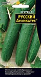 Огурец Русский Деликатес салатный F1 (УД) 