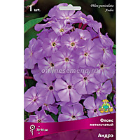 Флокс метельчатый Андрэ (ОКС)