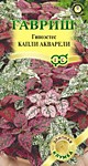 Гипоэстес Капли акварели 4 шт. (Г)